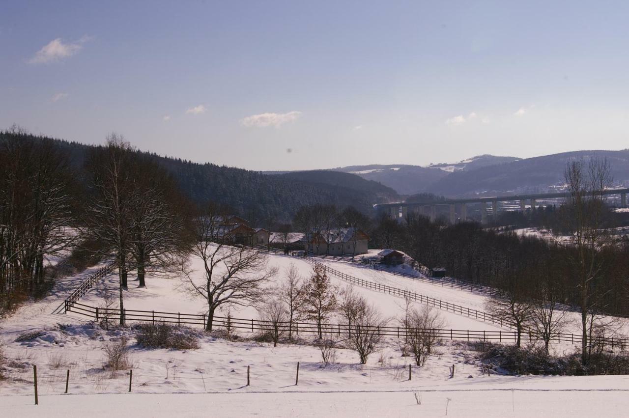 Reiterhof Und Pension Eichenhof Haiger Luaran gambar
